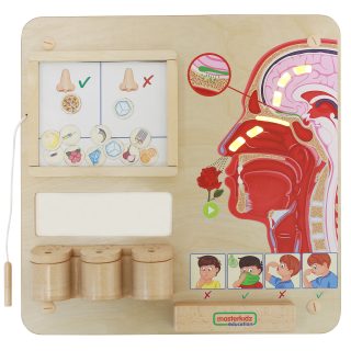 MASTERKIDZ Montessori Sense of Smell Educational Board