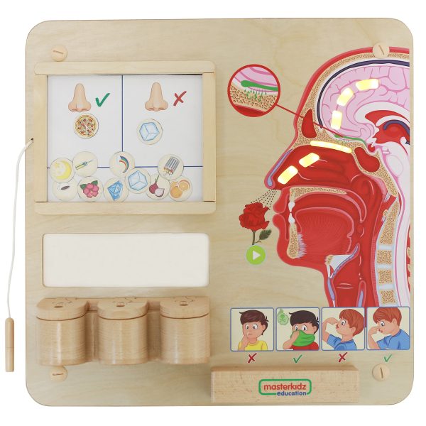 MASTERKIDZ Montessori Sense of Smell Educational Board