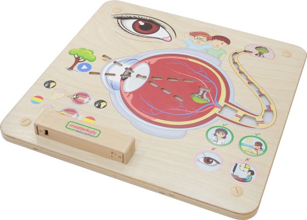 MASTERKIDZ Montessori Visual Sense Educational Board
