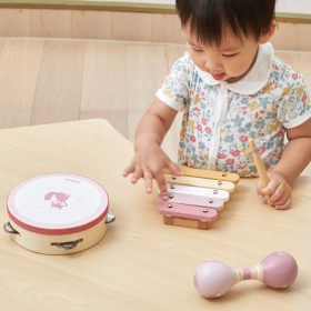 VIGA-PolarB-Musical-Instrument-Set-Pink-1