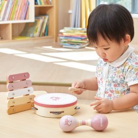 VIGA-PolarB-Musical-Instrument-Set-Pink-2