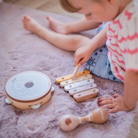 VIGA-PolarB-Musical-Instrument-Set-with-Hedgehog-1
