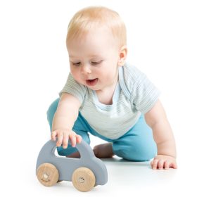 VIGA-PolarB-Wooden-Push-Car-Blue-1