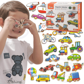 VIGA Wooden Vehicle Magnets Set