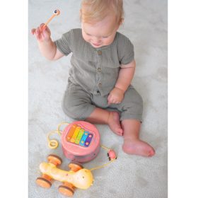 WOOPIE-4-in-1-Pull-Along-Snail-Cymbals-Sensory-Gears-Launcher-Small-Car-1 Cymbals
