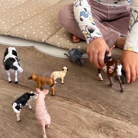 WOOPIE-Animal-Figures-Happy-Farm-10pcs-3