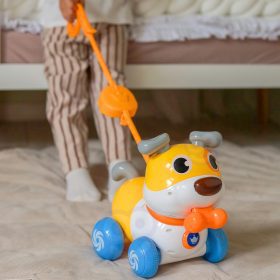 WOOPIE-Interactive-2-in-1-Dog-Pusher-Barking-360°-6m-2