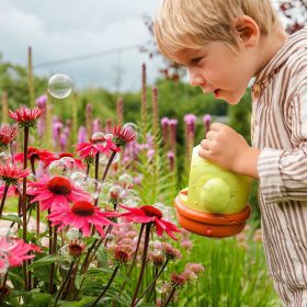 WOOPIE-Interactive-Cactus-Bubble-Machine-3
