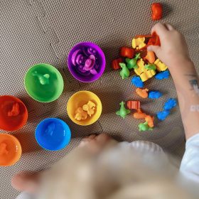 WOOPIE-Montessori-Educational-Game-Color-Sorter-Sea-Land-64-pcs-2