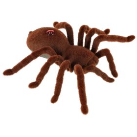 Nuotoliniu-budu-valdomas-TARANTULA-voras-PILOTAS-1