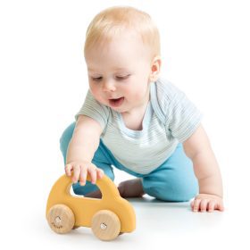 VIGA-PolarB-Wooden-Push-Car-Yellow-1