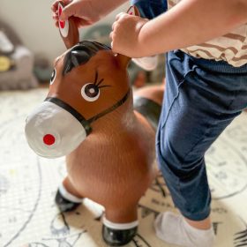 WOOPIE-Rubber-Jumper-Horse-Pump-2