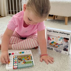 WOOPIE-Set-of-60-Logic-Games-3-1