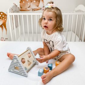 VIGA-PolarB-Wooden-Pyramid-Block-Sorter-Puzzle-2